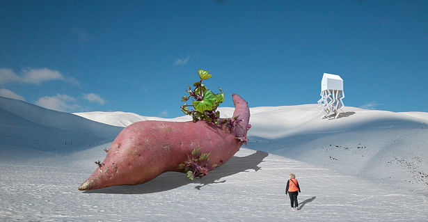 The Potato in the Snow, a Mobile Home, and a Person in a Orange Vest.