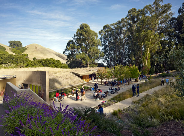 California Shakespeare Theater (Photos: Bruce Damonte)