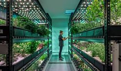 Is vertical farming the future of agriculture? 