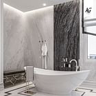 Masterful Master Bathroom Interior Design and Fit-out by Antonovich Group