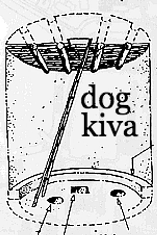 dog kiva