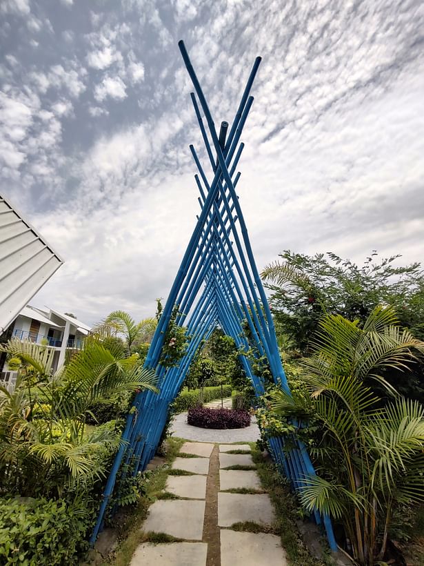 Bamboo Tunnel