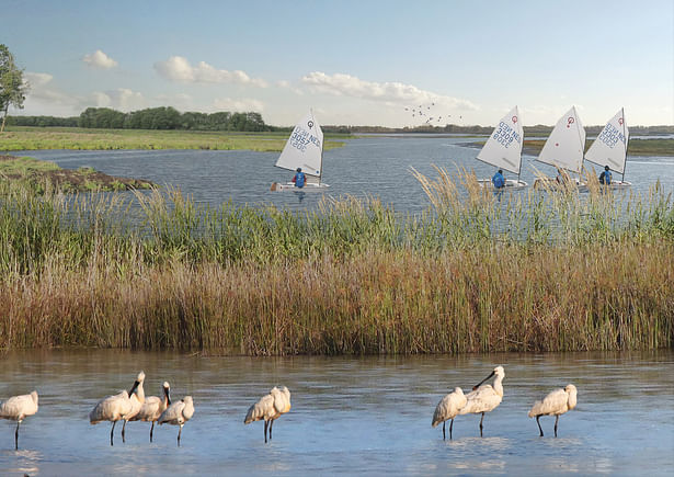 Oostvaardersdijk future: shallows and islands. 