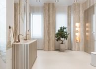  Modern Aesthetic Bathroom: A Sanitary Solution 