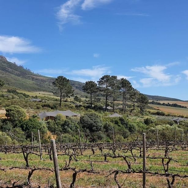 Cape Town , Boschendal , Camp Canoe