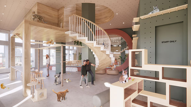 Similar to the 2.5 story cafe, the Cattery also has 2.5 levels. Guests can enter the Cattery on the first floor from the cafe or from the hostel lobby.
