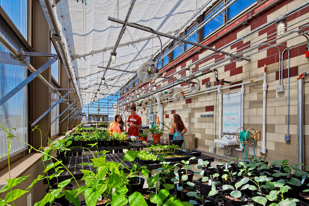 Rooftop greenhouse C&N Photography