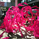 Jose Sanchez's BLOOM - An installation based in the courtyard of USC's Architecture building. Photo credit: Anthony Morey.