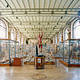 Richard Barnes, Flayed Man, Museum of Comparative Anatomy, Paris, 2005