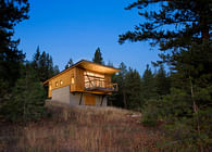 Pine Forest Cabin