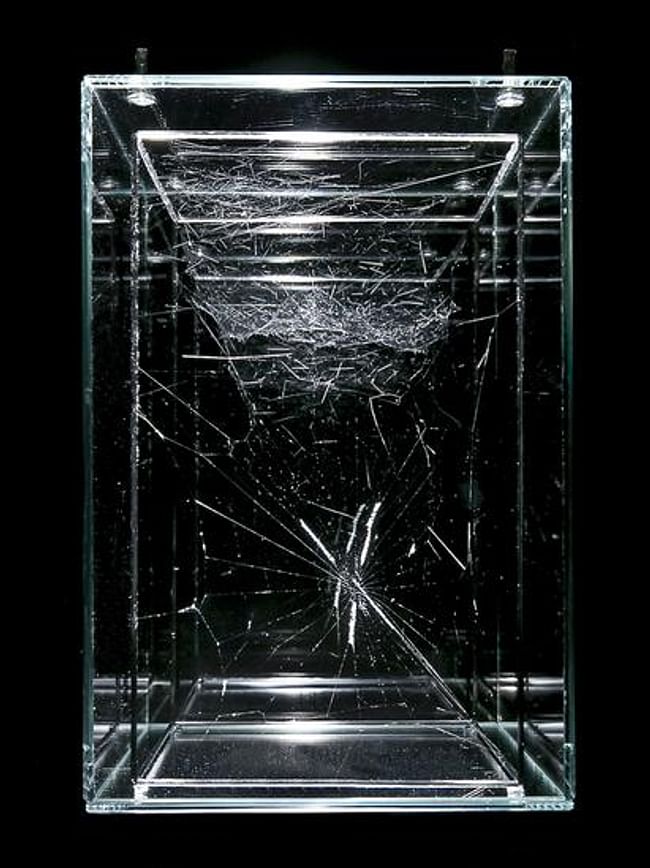 A web presented by Saraceno at a past exhibition at Tanya Bonakdar Gallery. Credit: Tanya Bonakdar Gallery