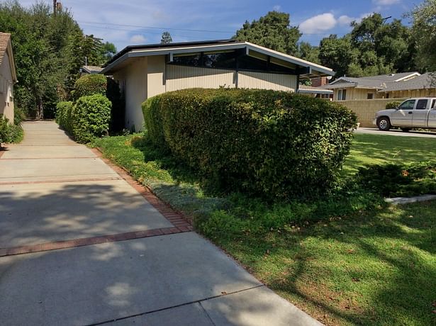 Before- Driveway and property line 7/18/2014.