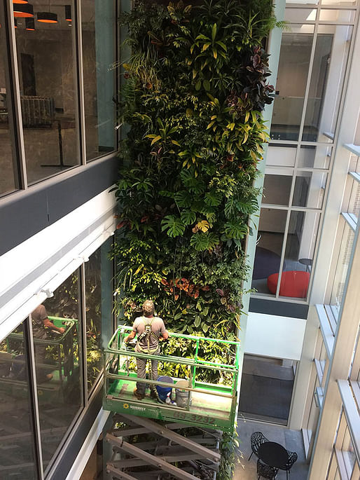 Living wall located in Davidson College. Plant Material Used: Tropicals. Living Wall System: Nedlaw Biofilter Wall. Image courtesy of Living Walls Inc.