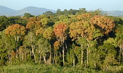 EU to pay Gabon to preserve its tropical rain forests