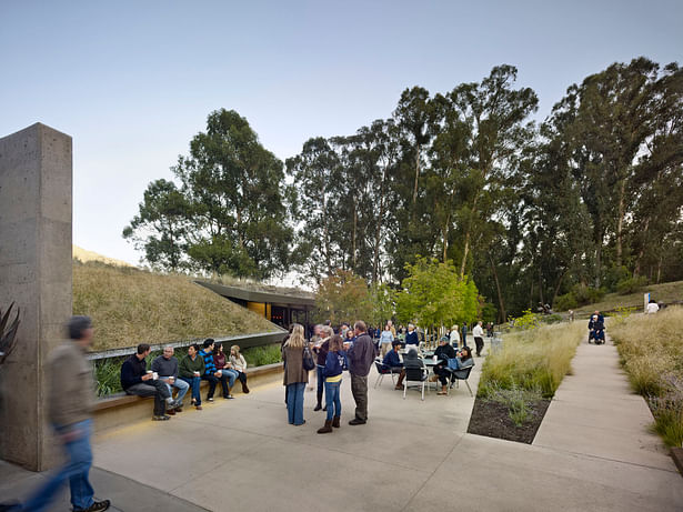 California Shakespeare Theater (Photos: Bruce Damonte)