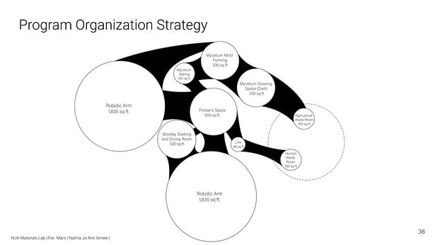 Diagram of Programmatic Organizational Strategy