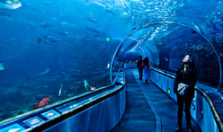 The risky business of city aquariums