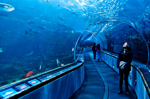 Glass tunnel at San Francisco's Aquarium of the Bay. Photo: Ray_LAC/Flickr