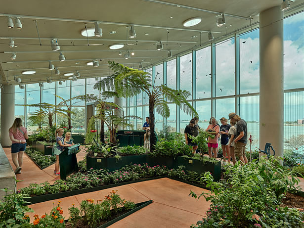 ​Audubon Nature Institute Aquarium & Insectarium (Photo: Tim Hursley)