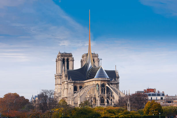 Notre Dame's Spine_OF STUDIO_Back
