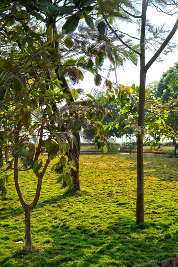 Lush green plantations invite visitors for a refreshing experience.