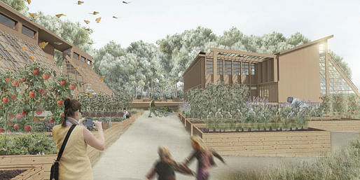 Harvest Hub by Cole Hollier from the Catholic University of America. Image courtesy of AIA COTE.