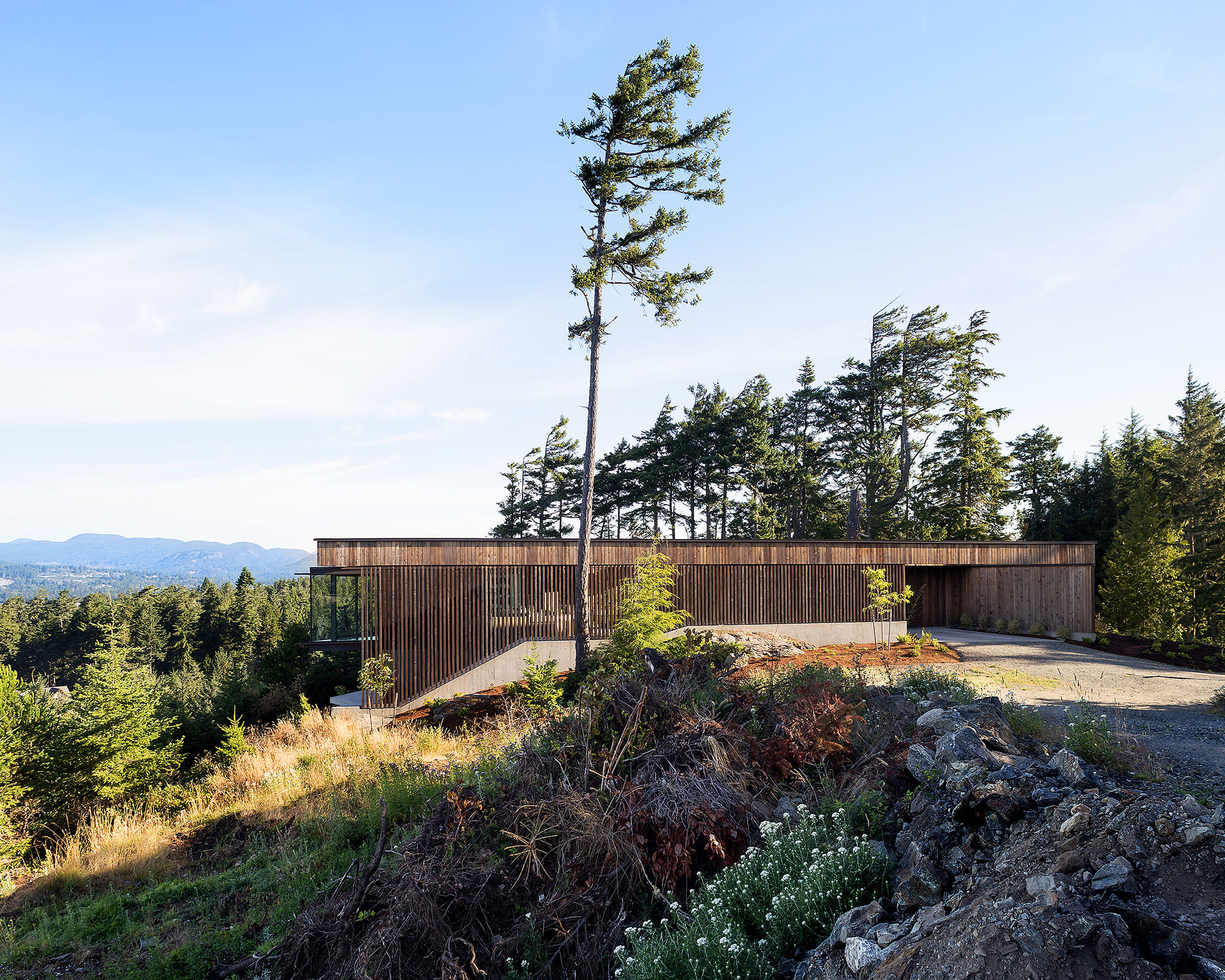 D'Arcy Jones Architects