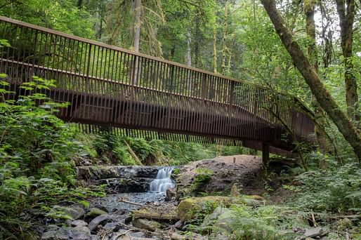 Forest Park Bridges, Portland, Oregon | Fieldwork Design & Architecture. Photo © Caleb Couch (Fieldwork Design)