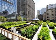 Tom Colicchio’s Riverpark Farm