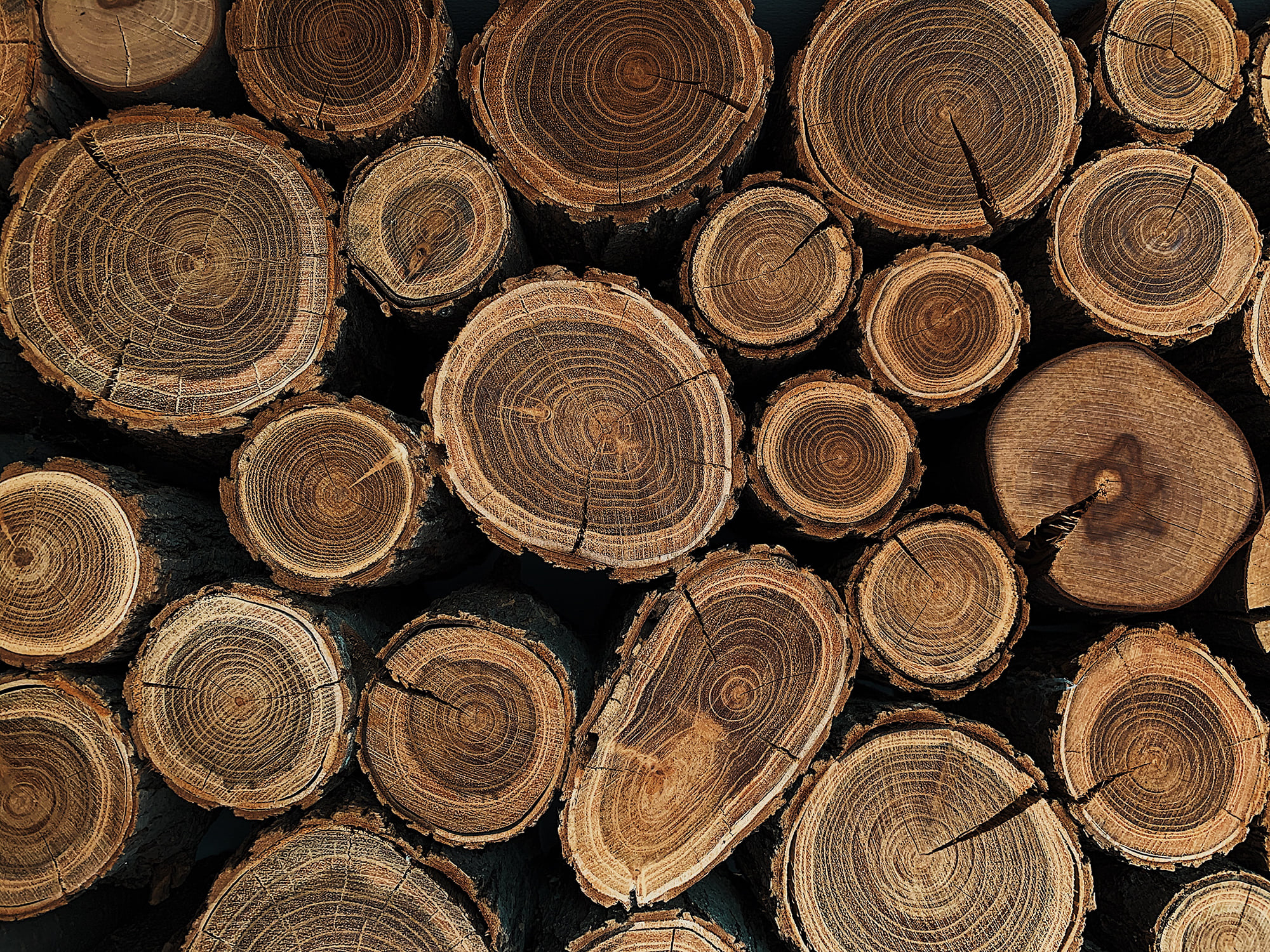 MIT researchers develop method for 3D printing wood | News | Archinect