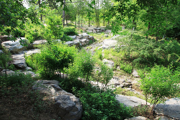 Scenic Spot in Beijing Olympic Forestry Park