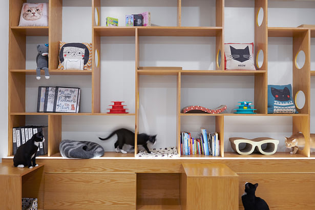 Shelf wall: a graphic pattern of shelving and built-in benches offer up a maze for the cats to explore