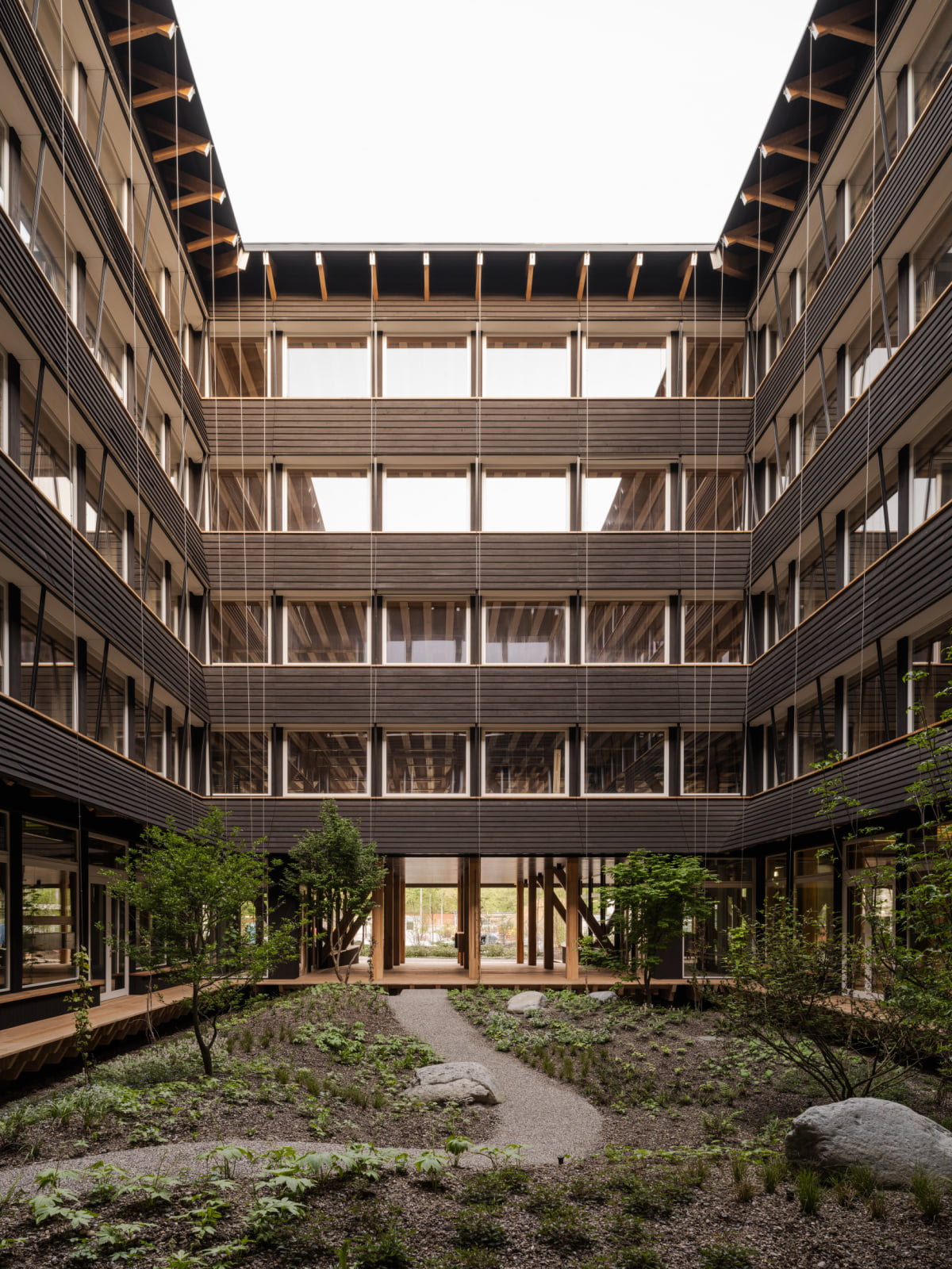Herzog & de Meuron completes highly sustainable timber office