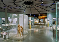 The Anne and Bernard Spitzer Hall of Human Origins 