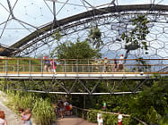 Eden Rainforest Walkway 