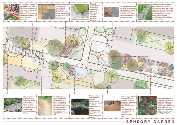 Sensory Garden