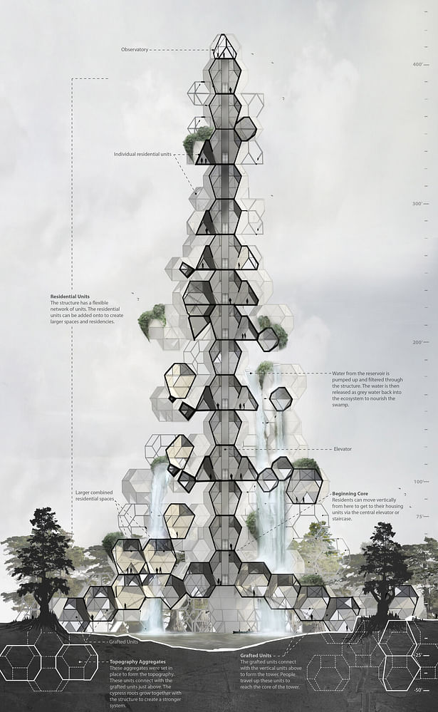 _Tower System The grafted structure can be implemented on the edges of the lower basins of New Orleans, creating a system of residential towers. Surrounding cypress swamps create a barrier to protect New Orleans from storm surge and provide a thriving natural ecosystem for native plants and wildlife. The Grafted Cypress Tower provides an innovative system of living in the lower basins of New Orleans that exists harmoniously within the environment and connects people to the natural swamp...