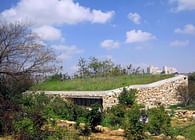 The Jerusalem Birds Observatory