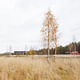 Rest Area Niemenharju. Image: Marc Goodwin