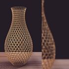Vase Skeleton Concept
