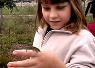 Learning + Landscape: Woodville Elementary School Wildflower Garden