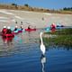 A kayak trip down the LA River. Courtesy of Steven Appleton.