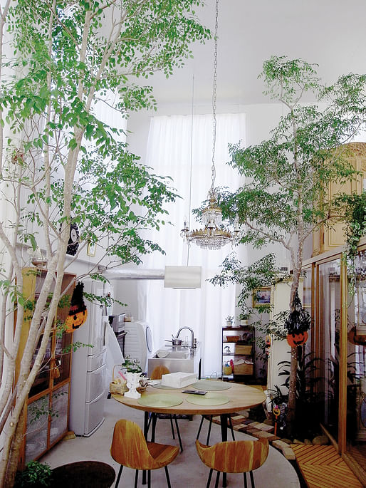 Interior view of House with Plants. ©junya.ishigami+associates