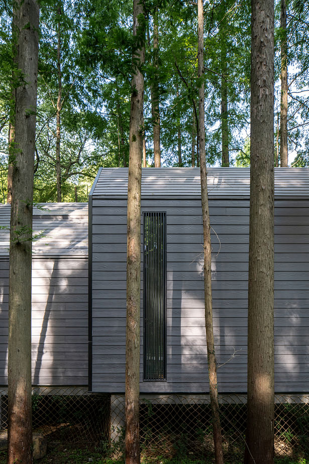 Metasequoia Wood Cottage ©Chen Xi Studio