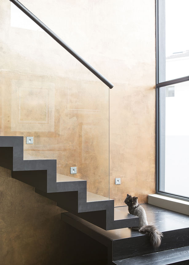 Stair and cat David Ross Photography