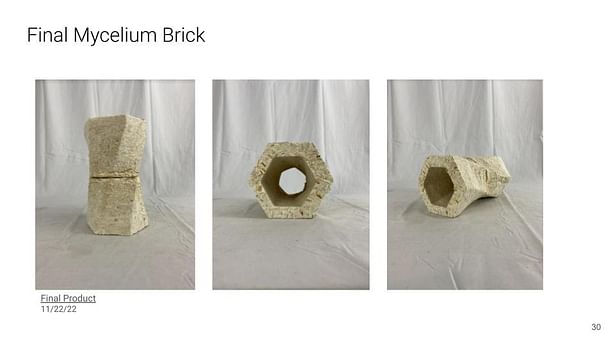 Final Mycelium Brick Module