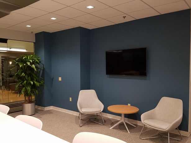 New collaborative lounge accent paint, seating and container plant.