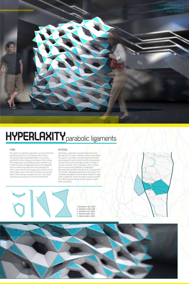 PARTITION Winner: “HYPERLAXITY: parabolic ligaments” by Elizabeth Boone with PROJECTiONE (Adam Buente and Kyle Perry)
