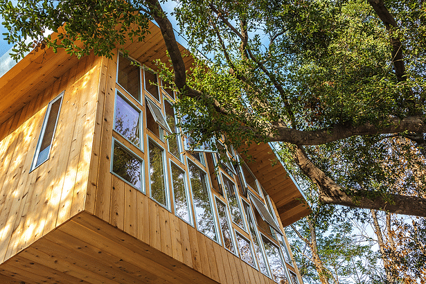 A detail of the front facade as it engages playfully with the trees with a variety of small windows opening in different directions.