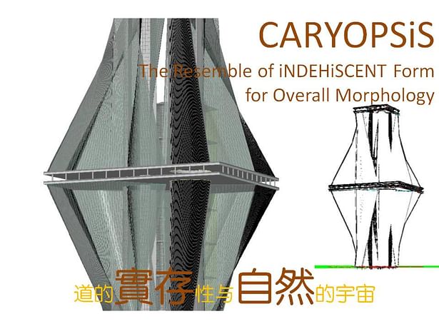 CARYOPSiS: The resemble of iNDEHiSCENT Form for Overall Morphology